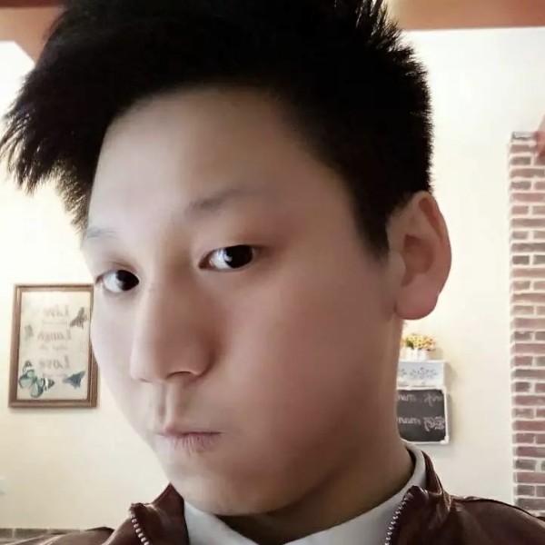 小刺猬阳光的照片