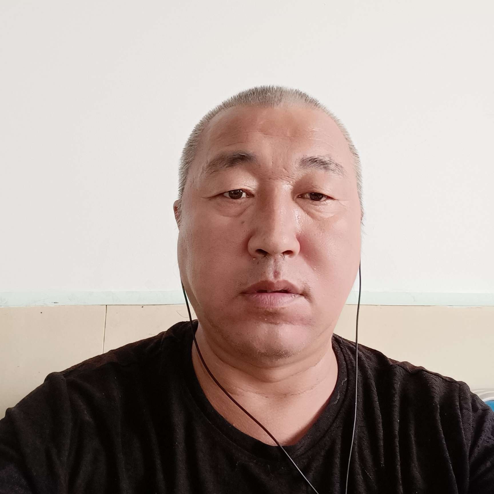 灰狼苦恋追寻的照片