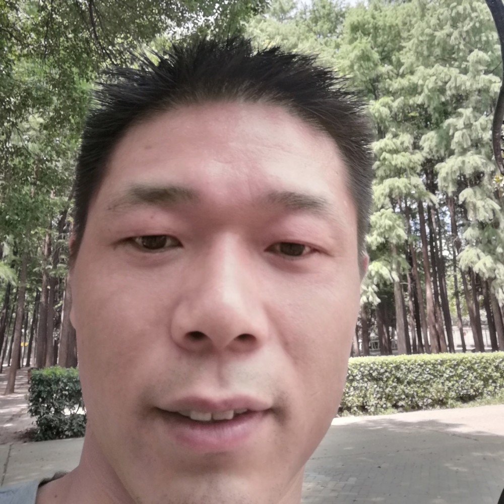 落寞等待女王的照片