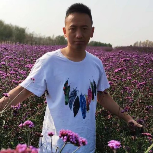 枫叶残蚀的照片