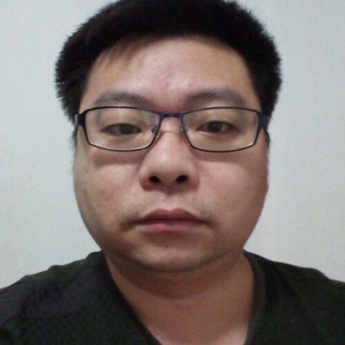 漂泊的汪的照片