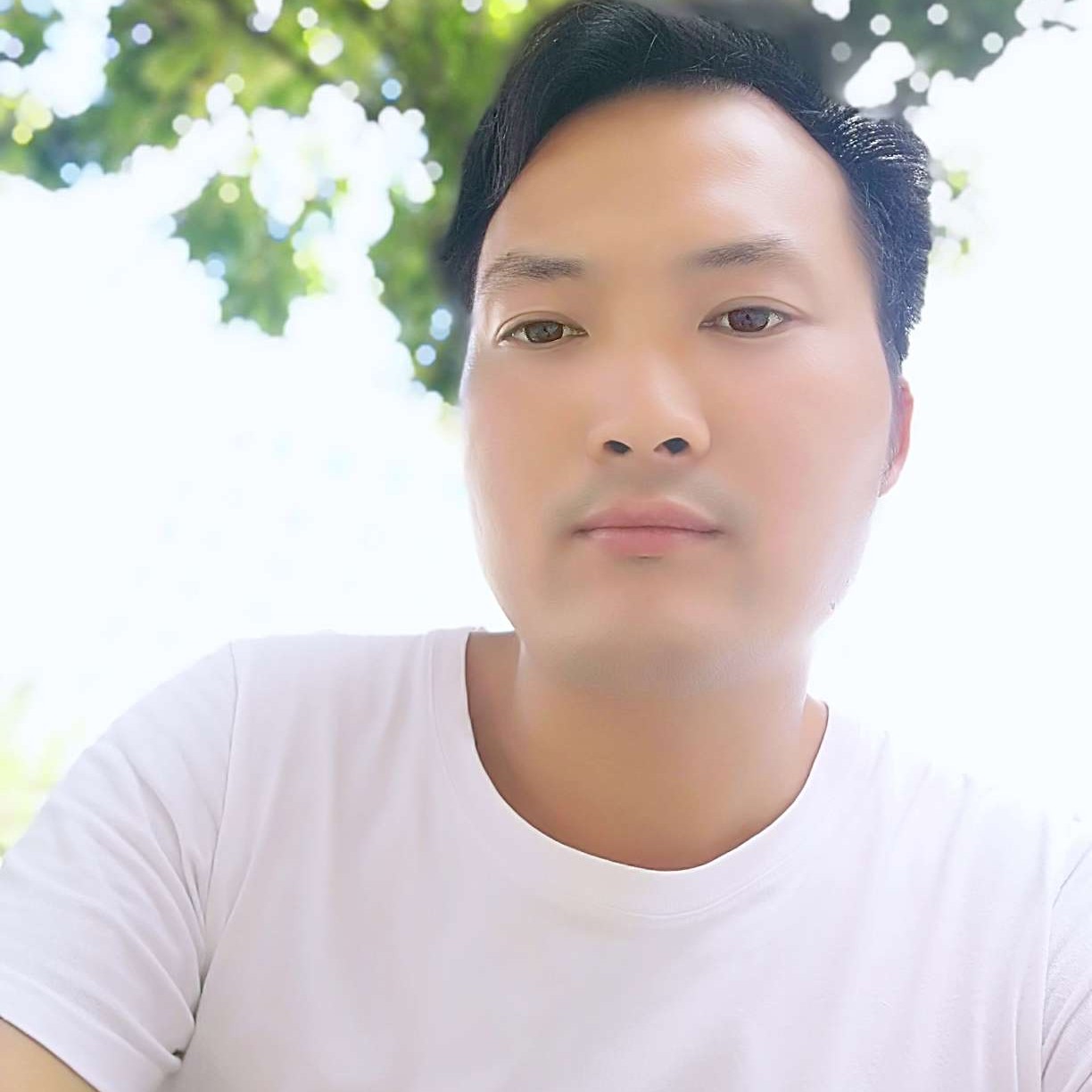 牵你的手到白头的照片
