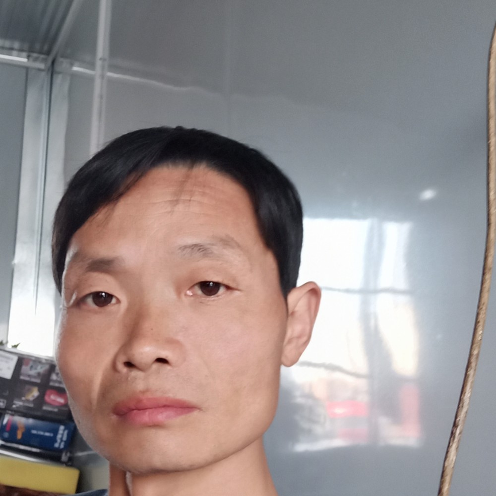 重生再来的照片