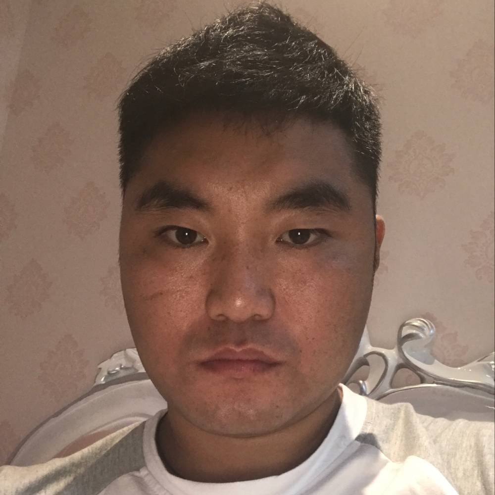 西伯利亚狼战狼的照片