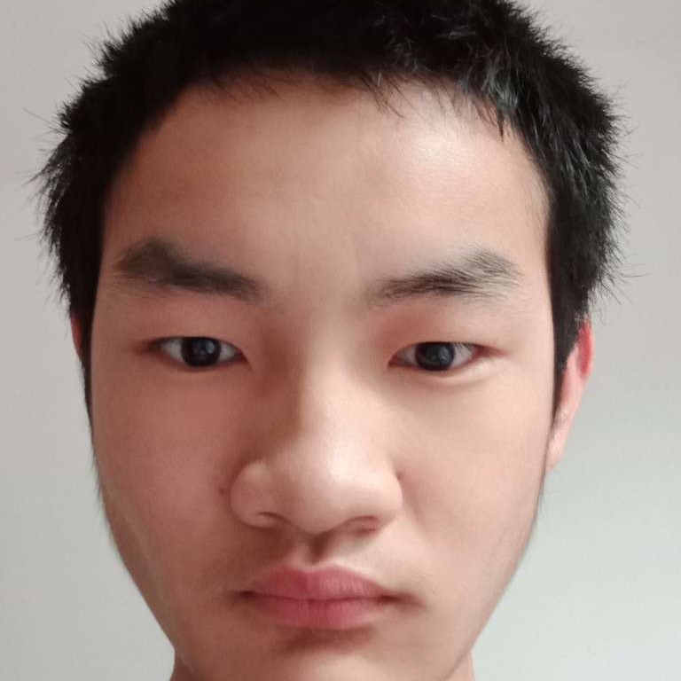 诚心浅吻翅膀的照片