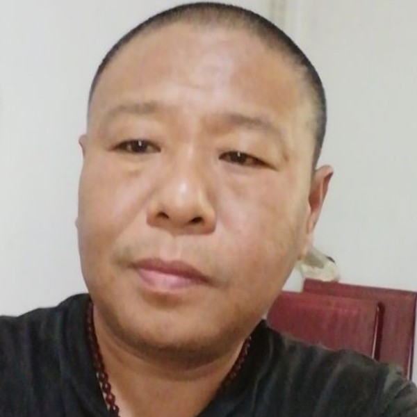 空巢的孤鹰的照片
