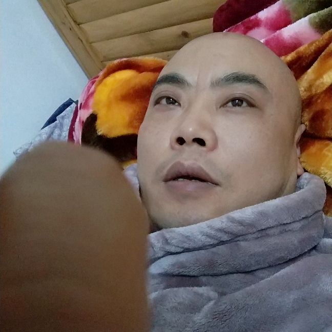 完美卓越的照片