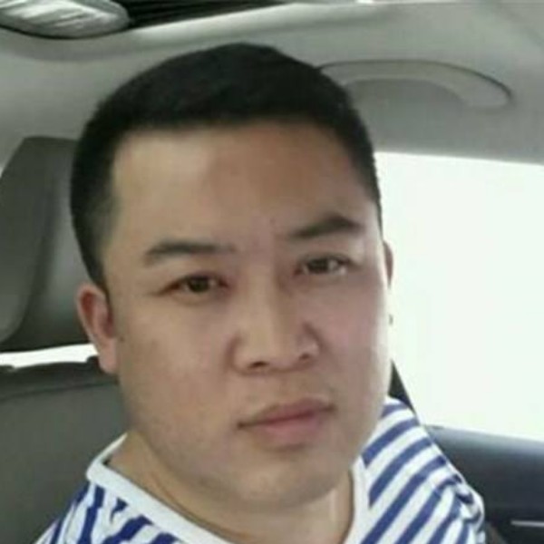 浮生蚂蚁，的照片