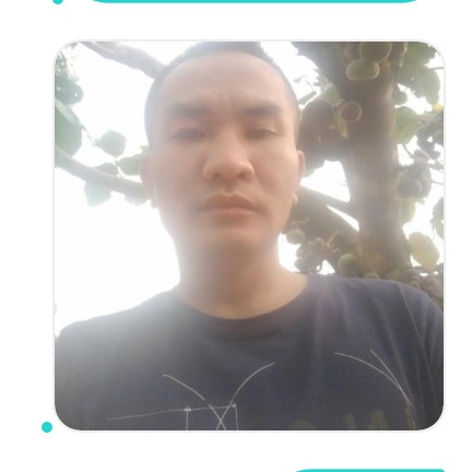 灯泡演变绵密的照片