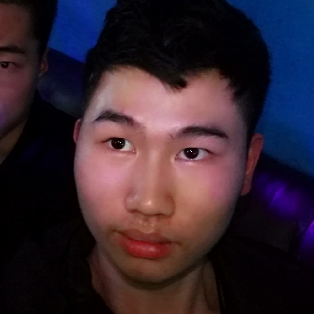 小懒虫多么合适的照片