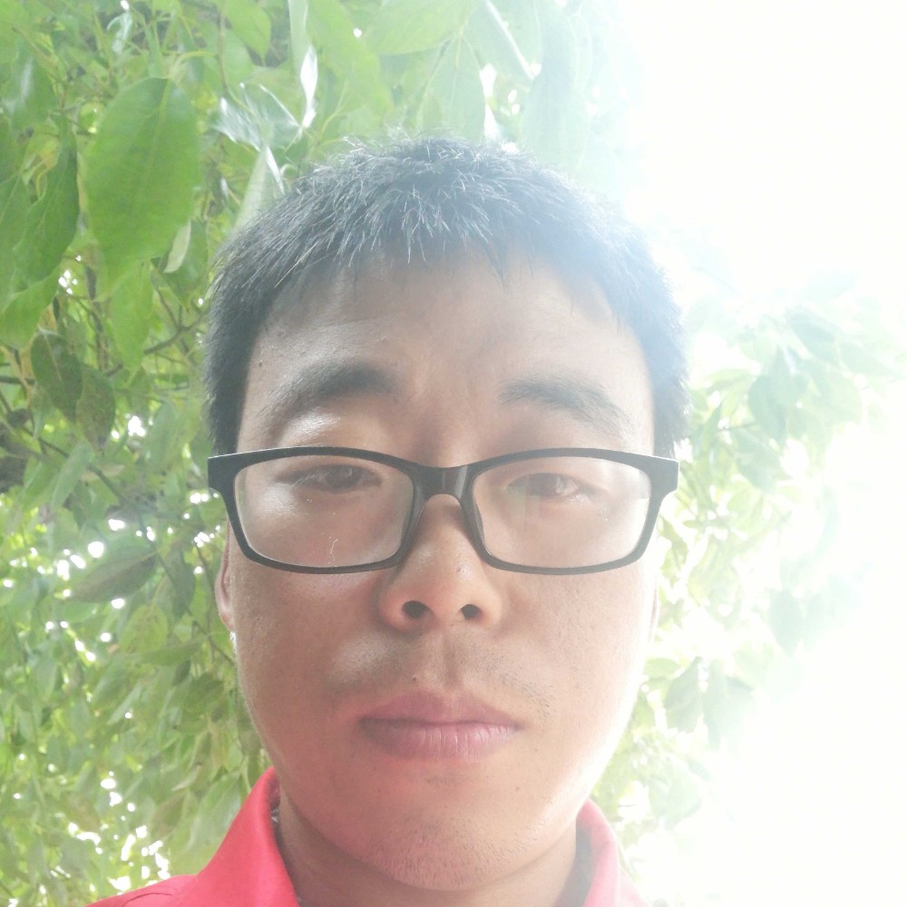 铃铛开放的照片