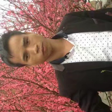 康乃馨碧蓝的照片