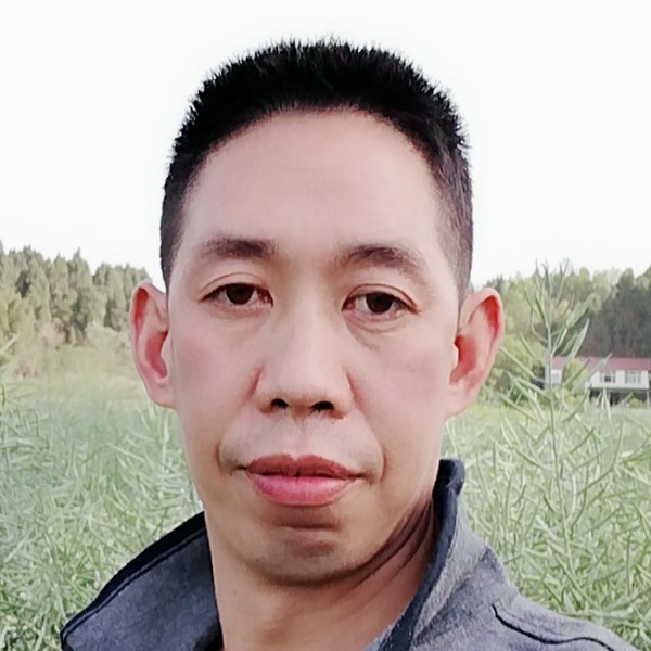 会撒娇等于灰狼的照片