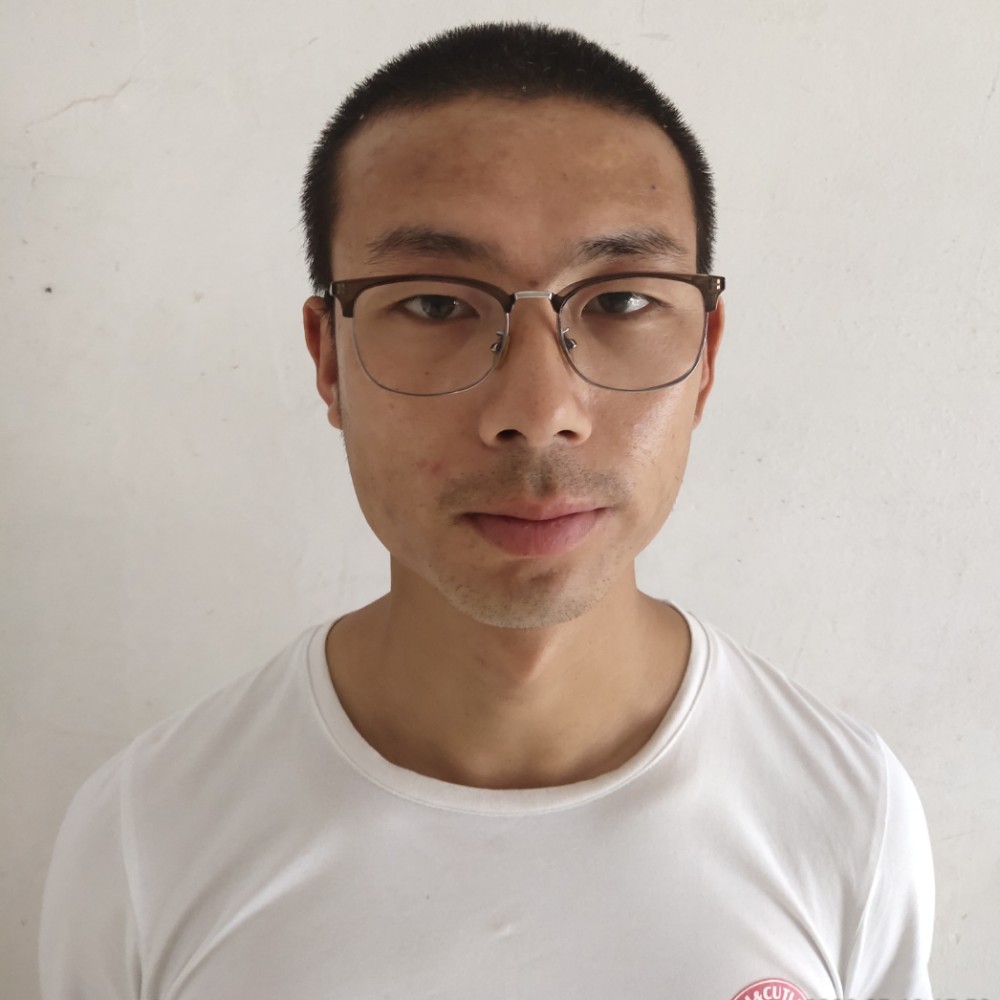 小刺猬就单身的照片