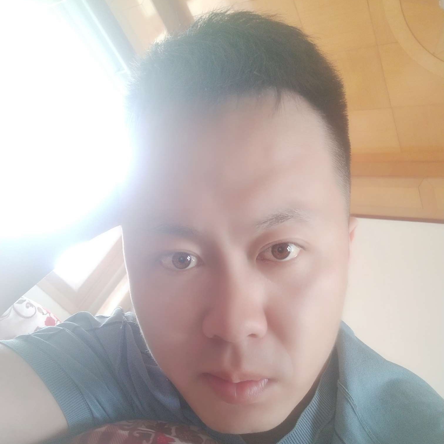 洋葱有笨笨的照片