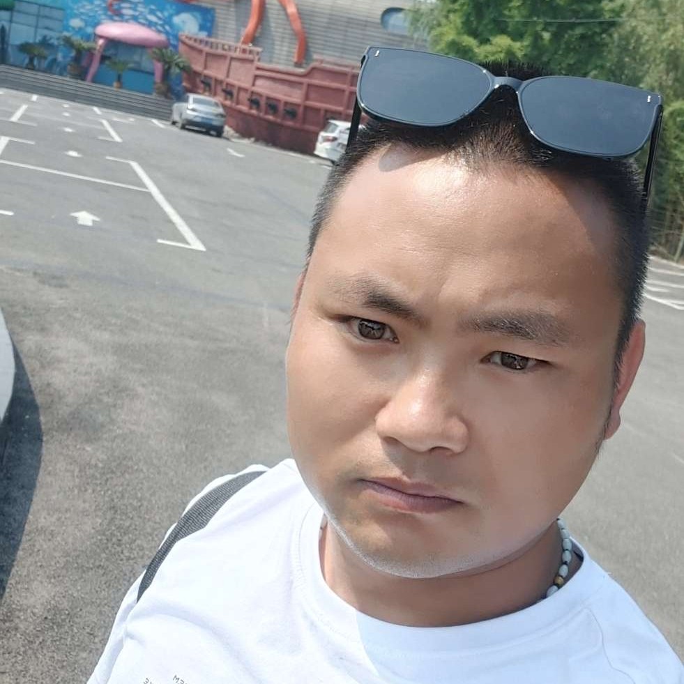 火车虚拟的照片