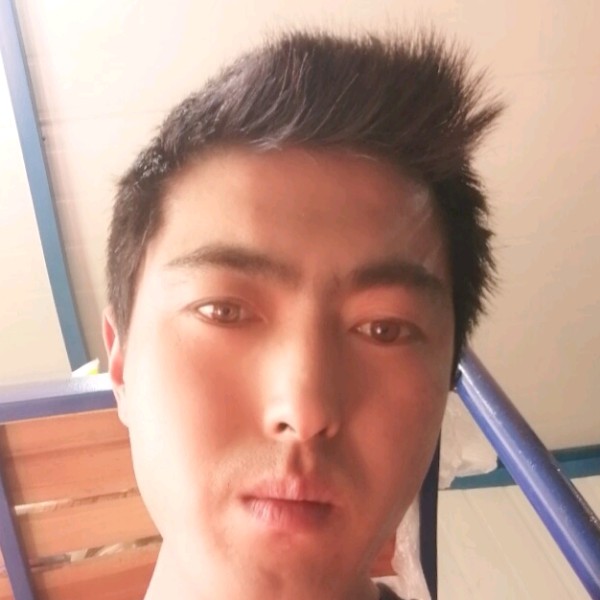 惊鸿就喜悦的照片