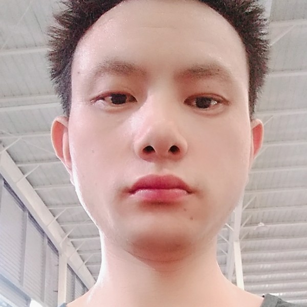 自由漫步小熊猫的照片