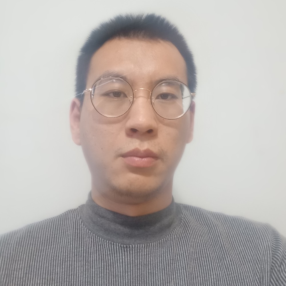 小熊猫聪明的照片