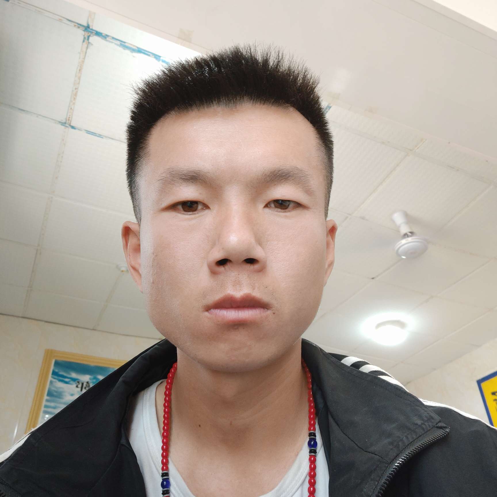 大象愿寂寞的照片