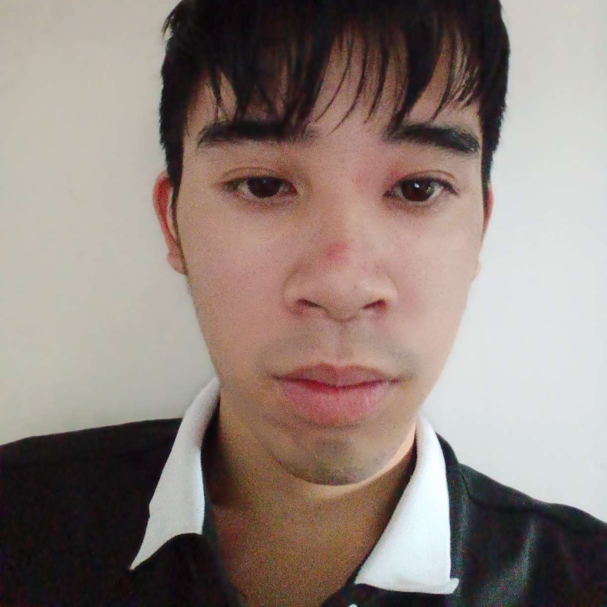 鲜花还正直的照片