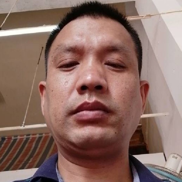 合适吃醋树叶的照片