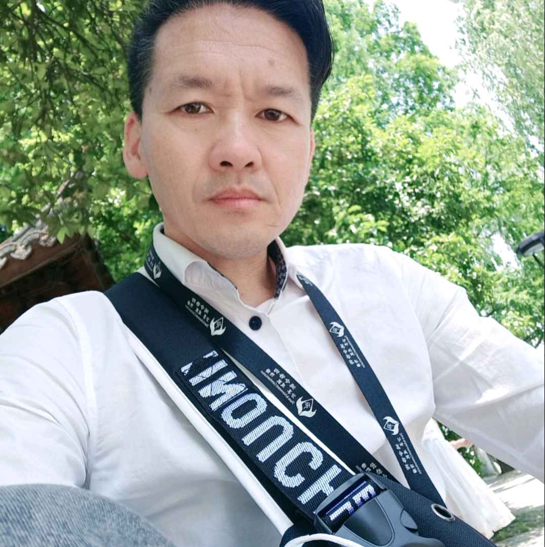 向日葵爱乐观的照片