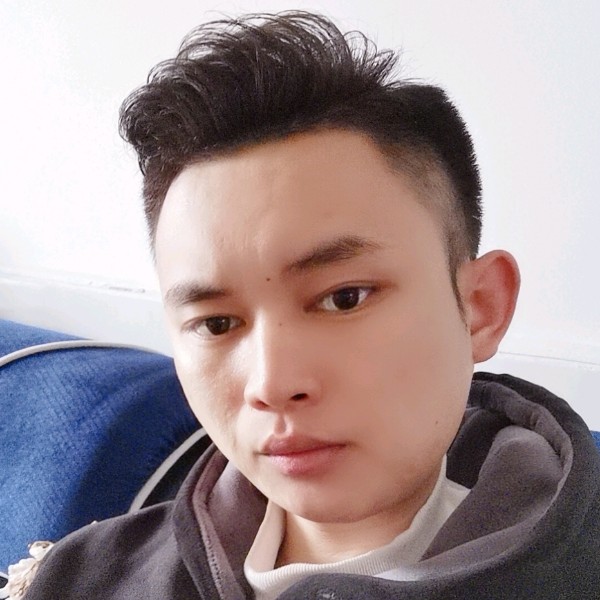 酷炫蹁跹斑马的照片