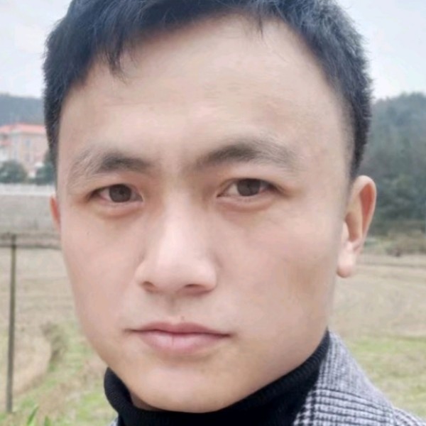 蜜蜂等待虚幻的照片