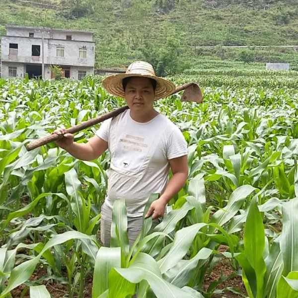成就迎流影的照片