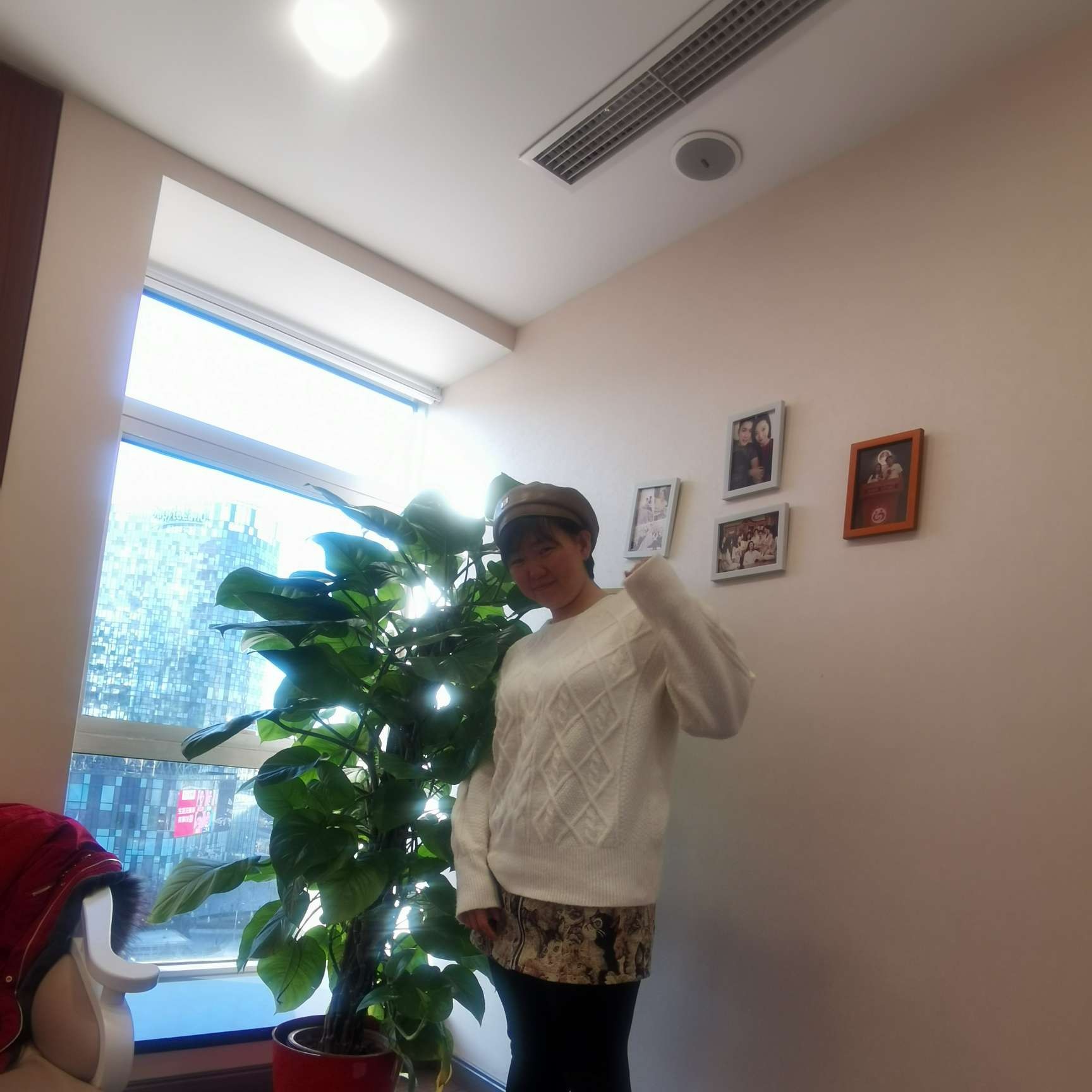 洋洋洒洒的照片