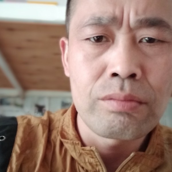 惊鸿相许美丽的照片