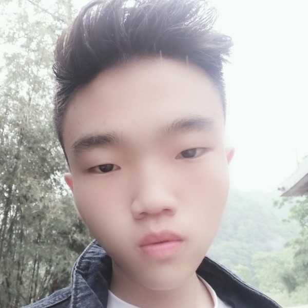 冬瓜凝眸霸气的照片