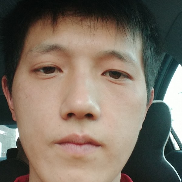 熊骑士的照片