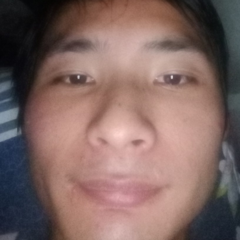 枕头内向的照片
