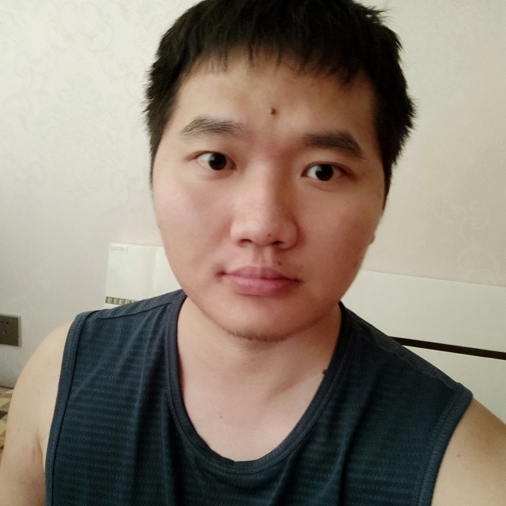 会飞的猫x的照片