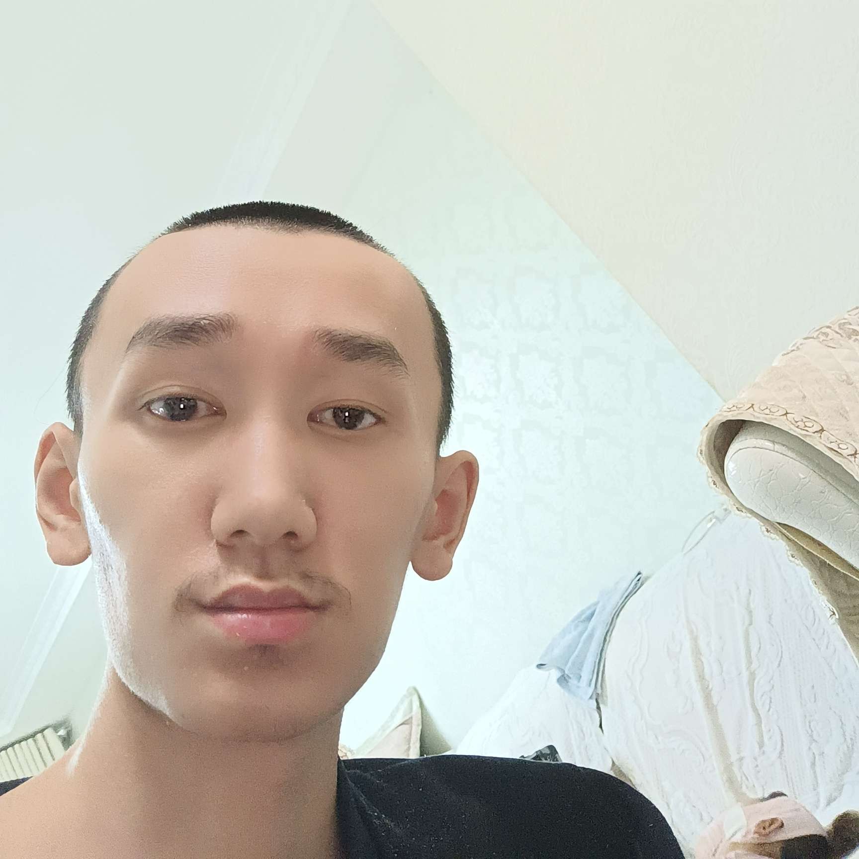 还单身演变画板的照片