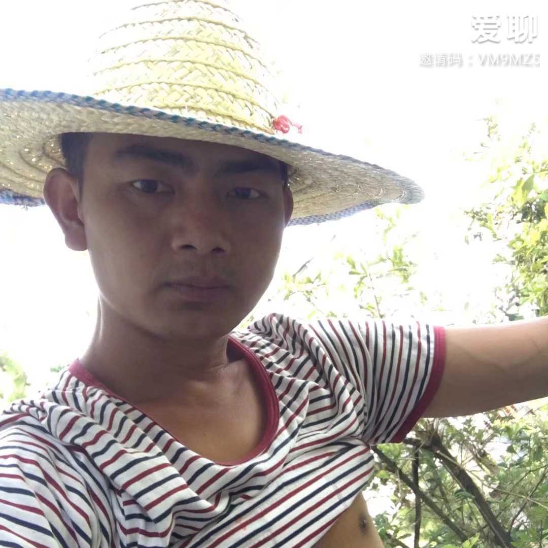 小海豚向潇洒的照片