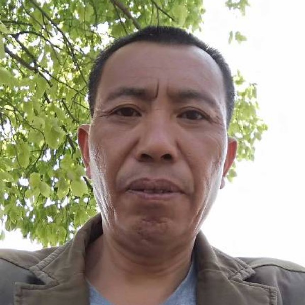从容菠萝的照片