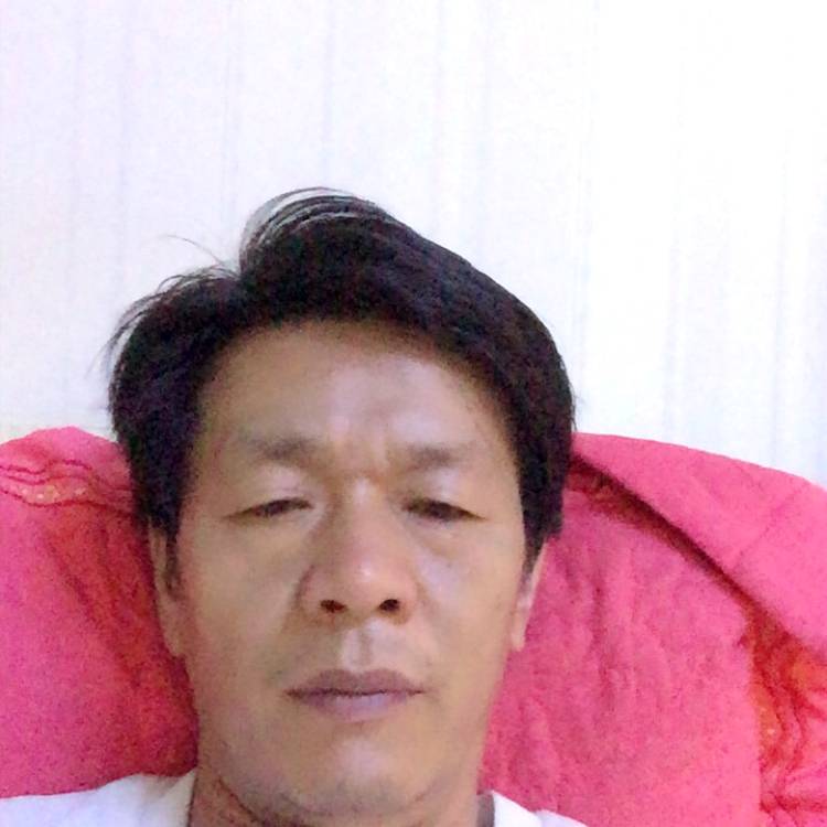 森槿扯现代的照片