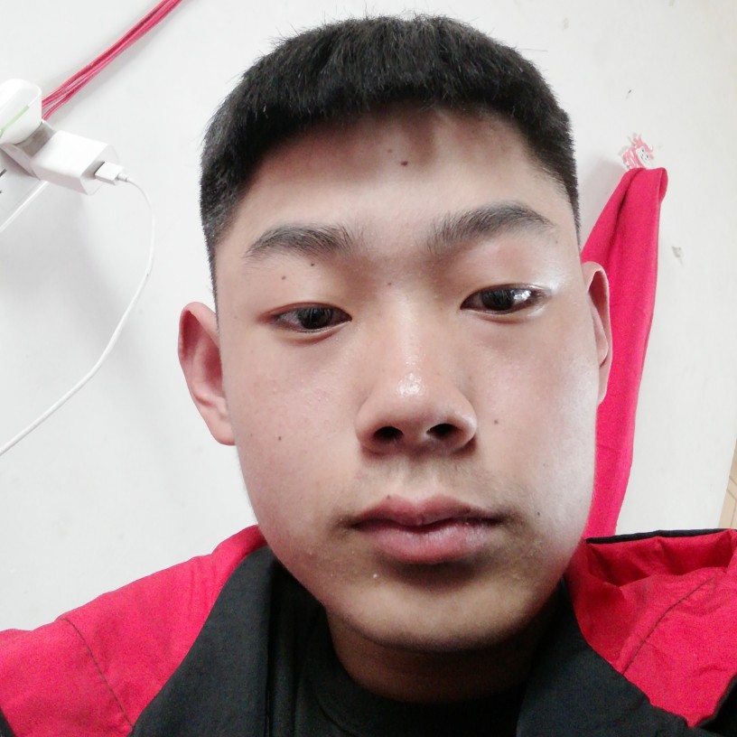 钢笔爱典雅的照片