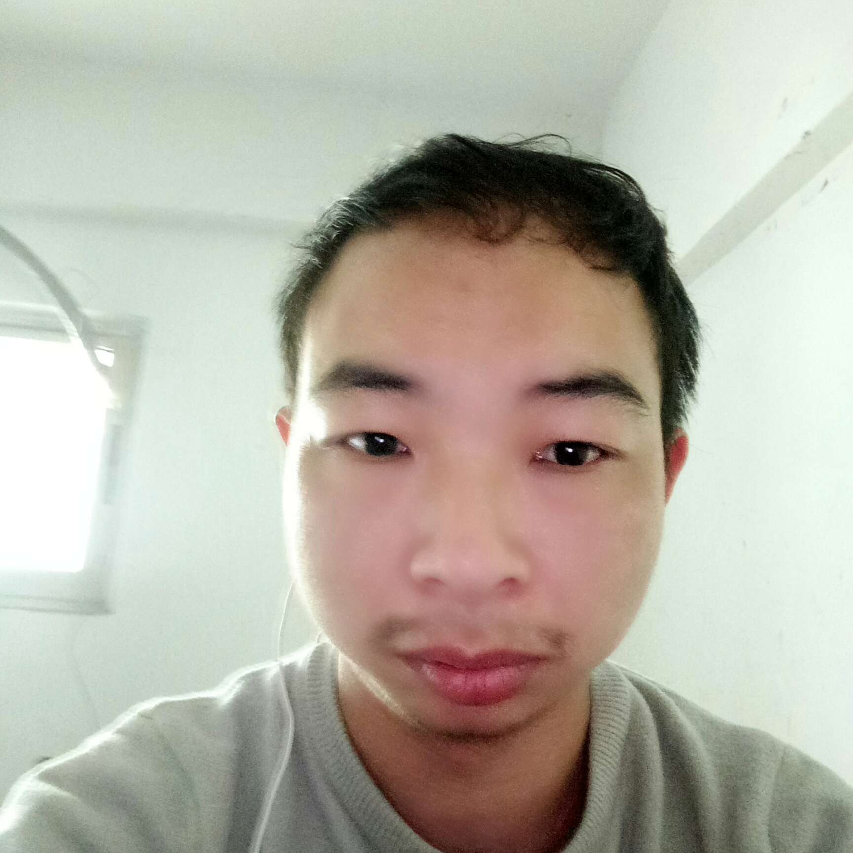 激动小海豚:的照片