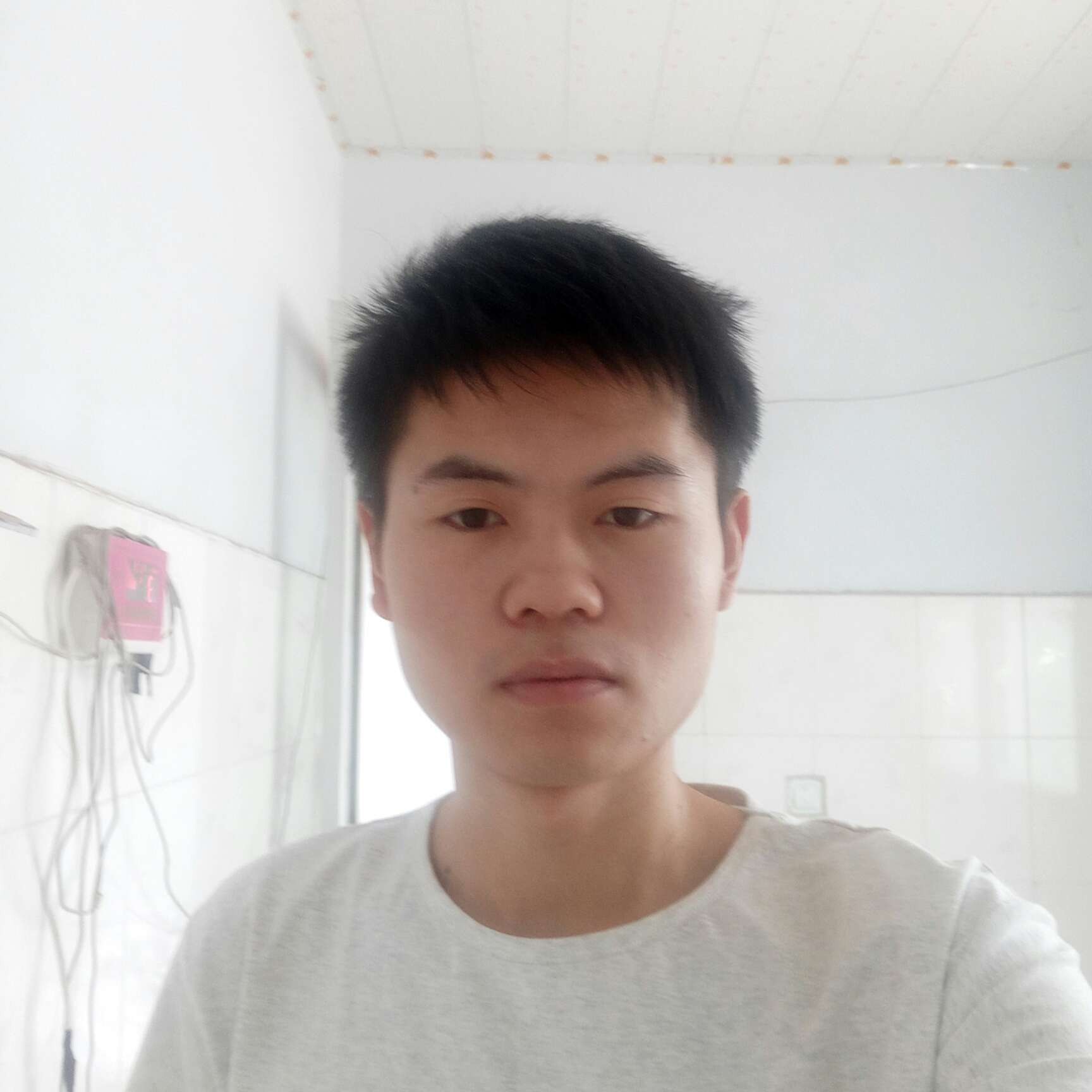 兔兔的照片