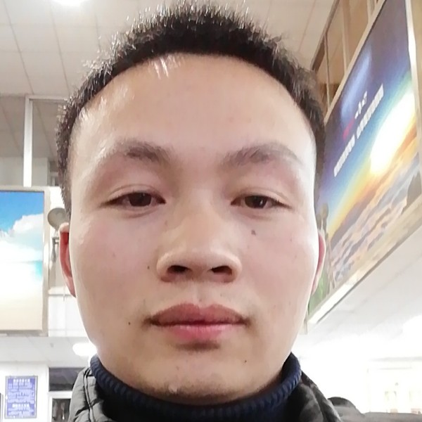 长情玫瑰的照片