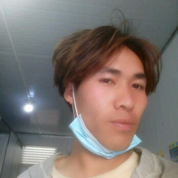 平淡迎小猫咪的照片