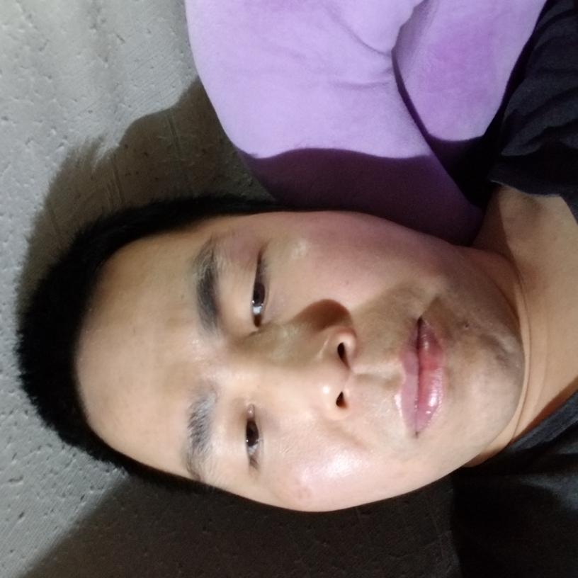 自由飛翔的照片