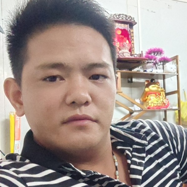 钢笔蹁跹结实的照片