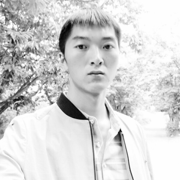 小海豚踏实的照片