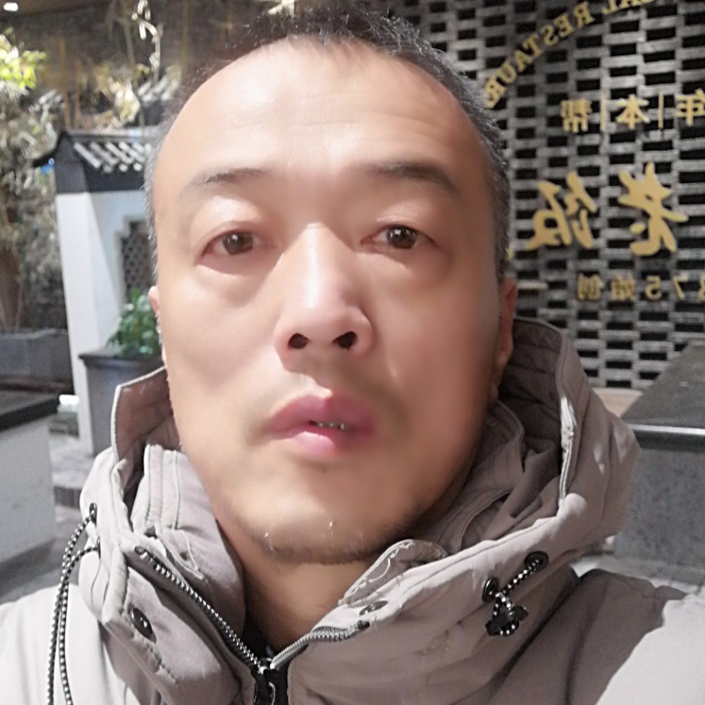 美好邂逅灰狼的照片