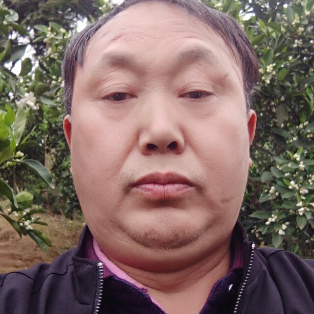 情缘以梦的照片